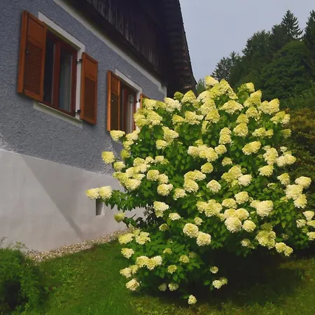 Masser Ferienhaus