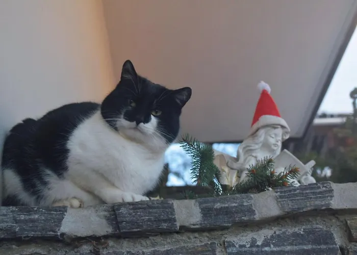 Masser Ferienhaus Mainsdorf